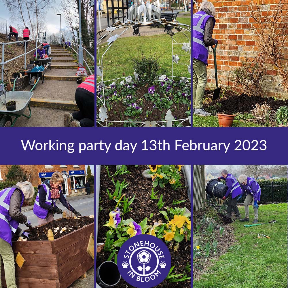 Working Party Day 13th Feb - We welcomed milder temperatures as SIB-ers made their way around The Old Chapel Garden, Station Steps Garden and the High Street. Clearing/planting Tete-a-Tete + Alliums, spreading coffee grounds/manure, repainting planters. @HOEInBloom @RHSBloom