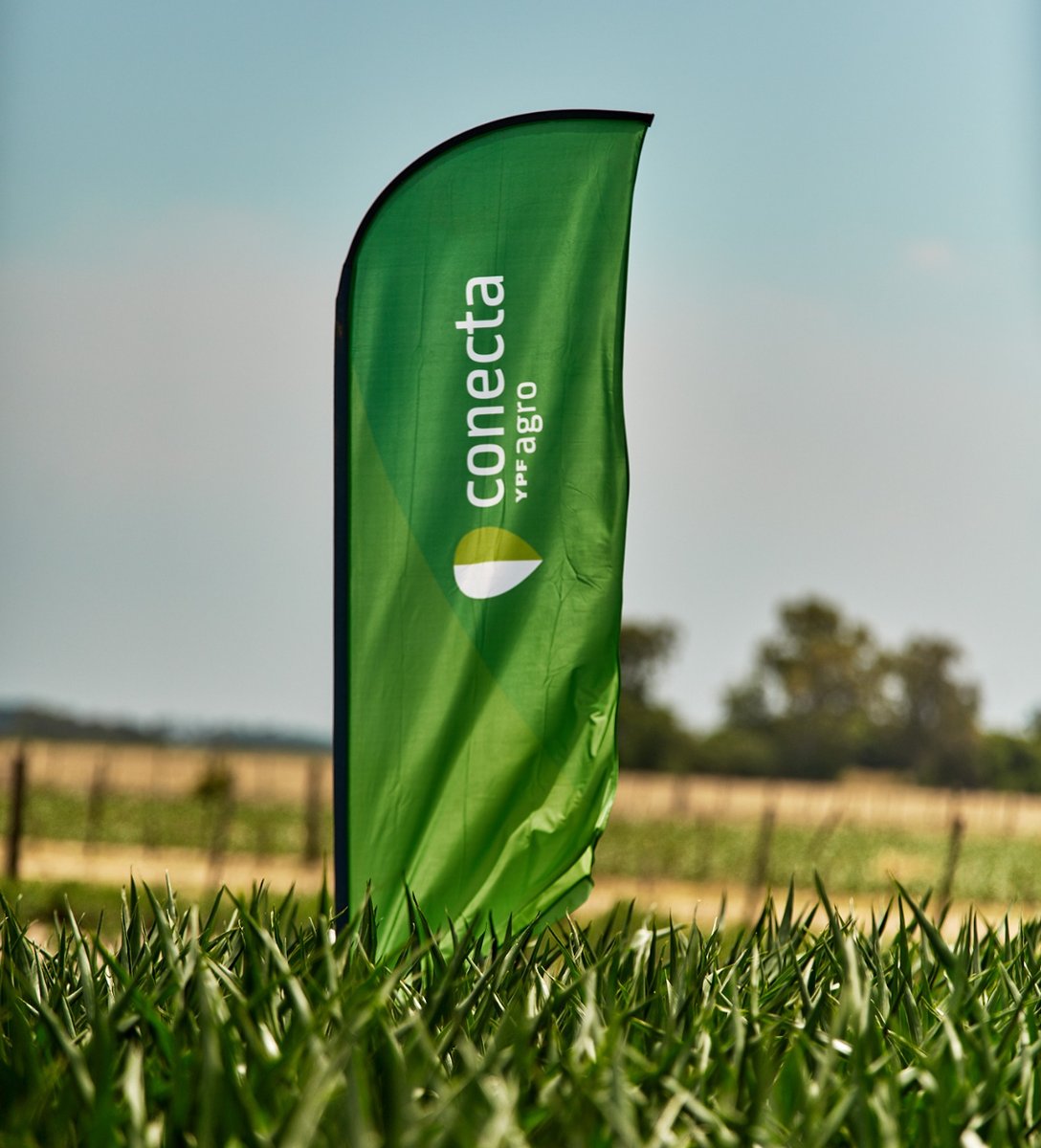 YPFAgro's tweet photo. Arranca CONECTA 2023 🌱 ✴️

👉 Desde la localidad de Murphy vamos a conocer los 3 pilares fundamentales de nuestra oferta: @Sem_Illinois, Nutrición de cultivos y Protección de cultivos en 5 ensayos de maíz y 2 de soja 👏

#SomosYPFAgro #ConectaYPFAgro https://t.co/OO0STNXFTL