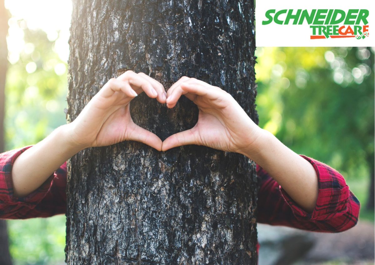 We know you love your trees, let us help you take better care of them. We offer a holistic approach to tree health care that considers pests and diseases, climate impacts, and the overall condition of your landscape. Call 864-664-2025 #SchneiderTreeCare #Valentine'sDay