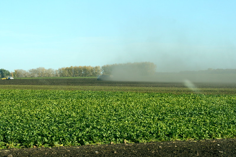 Journal_JSSPN's tweet image. One more article added to our #BiocharCollection

Influence of #Biochar on Soil Properties and Morphophysiology of #Sugar #Beet Under #Fomesafen Residues

Read at rdcu.be/c5BDJ

#Herbicide #PesticideResidue #SoilImprovement