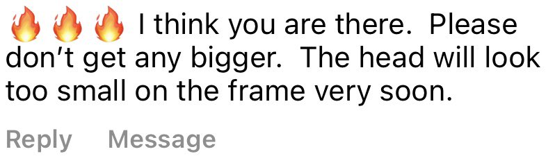 FairyGodHimbo's tweet photo. But…what if I want my head to look too small on my frame? #goals #RequestDenied https://t.co/kBVWBE8579