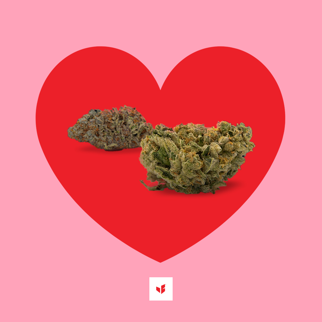 Happy Valentine's Day! We hope you have a sweet flower-filled day 🌸