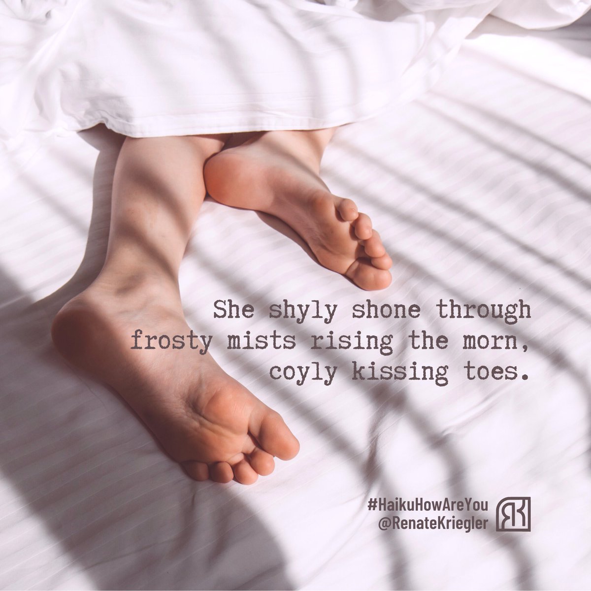 RenateKriegler's tweet photo. Senryū / Haiku Tue 14 Feb 2023
#HaikuHowAreYou
#LearningToFeel
#LearningToSee
#AmWriting
#ThreeLines
#MicroPoetry
#Senryu
#Haiku
#FiveSevenFive
"She shyly shone through
frosty mists rising the morn,
coyly kissing toes."
#ValentinesDay
#WinterSun
#MorningSun
#WokenByTheSun
#LieIn https://t.co/rNqiE54z38