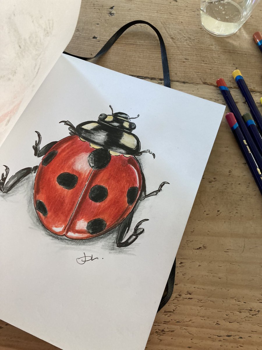 Jacquimoosey's tweet photo. Just trying out some different #artists projects going well so far #wildlife 💕 https://t.co/JhKLsgUKRn
