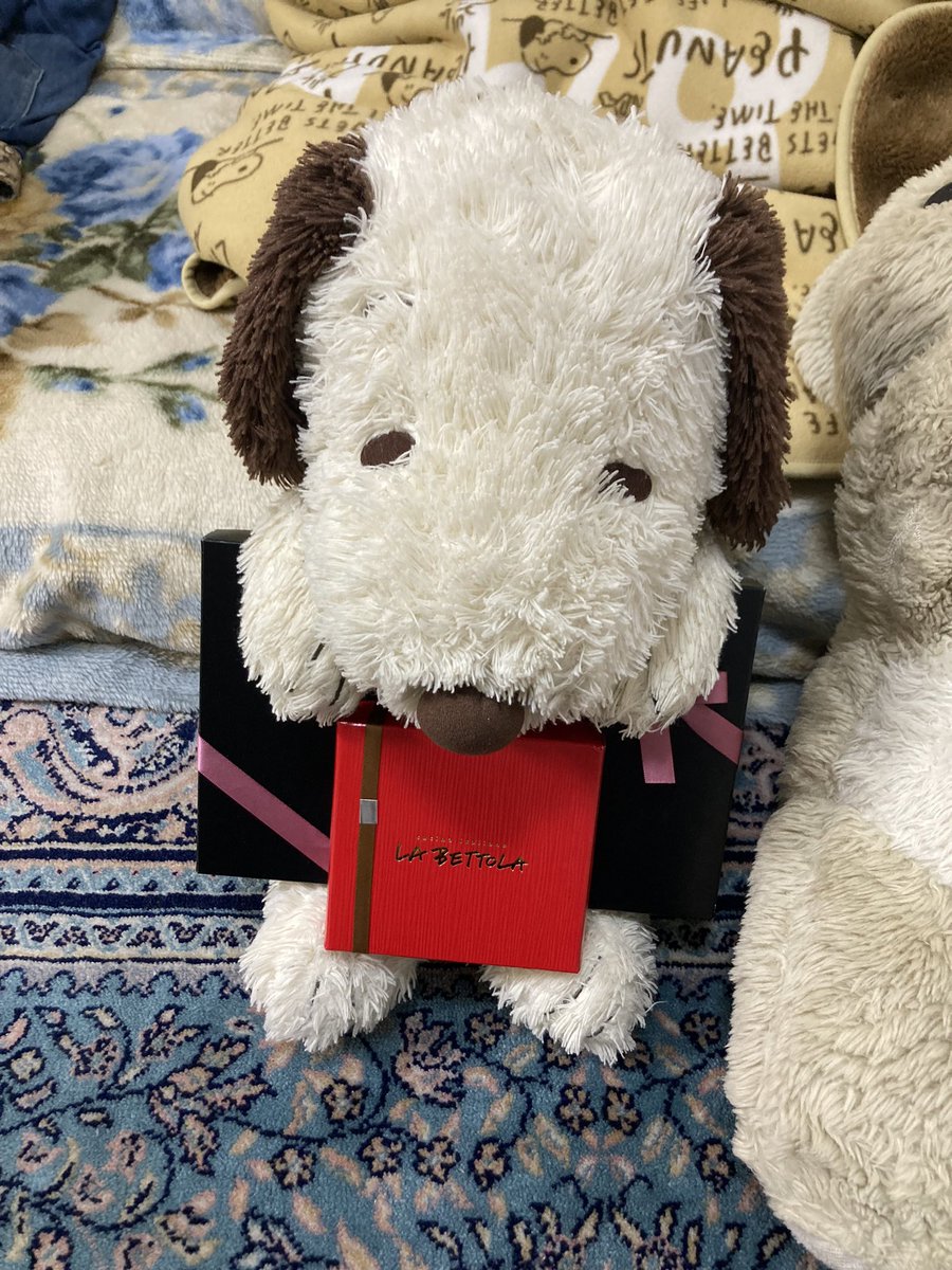 teppymuf1's tweet photo. ハッピーバレンタイン https://t.co/rZ1vYDmrnP
