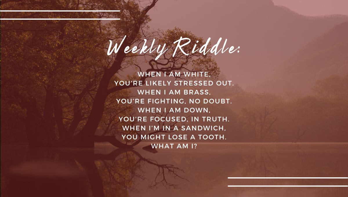 Visit the link below for the answer to last week's #riddle and #subscribe so you don't miss this week's answer! Post your guesses in the comments. #brainteaser #riddlemethis meldfinancial.com/financial-well…