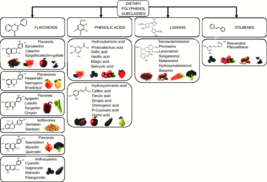 Longevity Lifestyle On Twitter Polyphenols Are A Class Of Chemical longevity-lifestyle-on-twitter-polyphenols-are-a-class-of-chemical