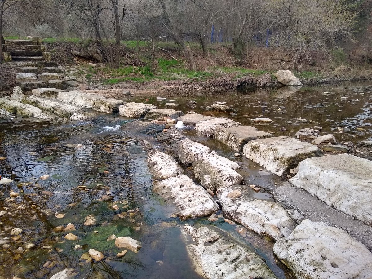 Holly Moeller, @mixotrophe at other places too tweet media