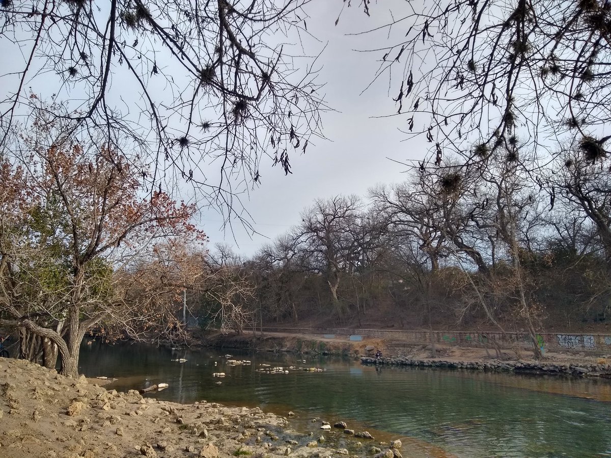 Holly Moeller, @mixotrophe at other places too tweet media