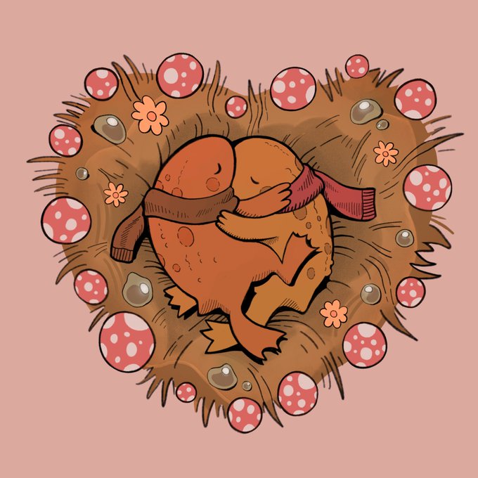 #ValentinesDay  