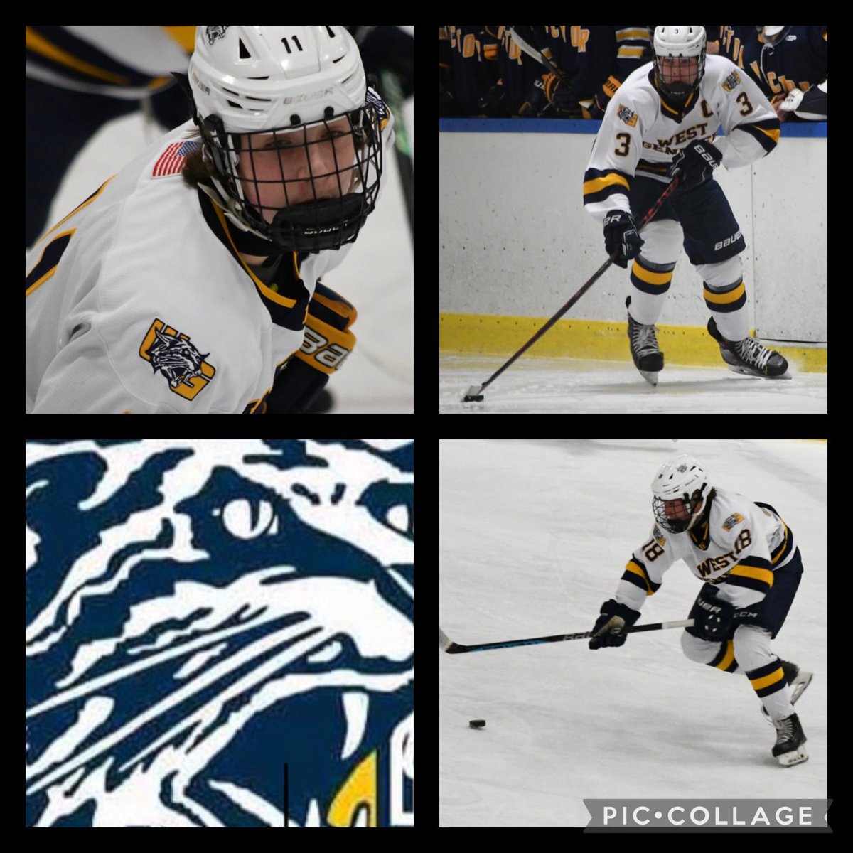 West Genesee Hockey tweet media