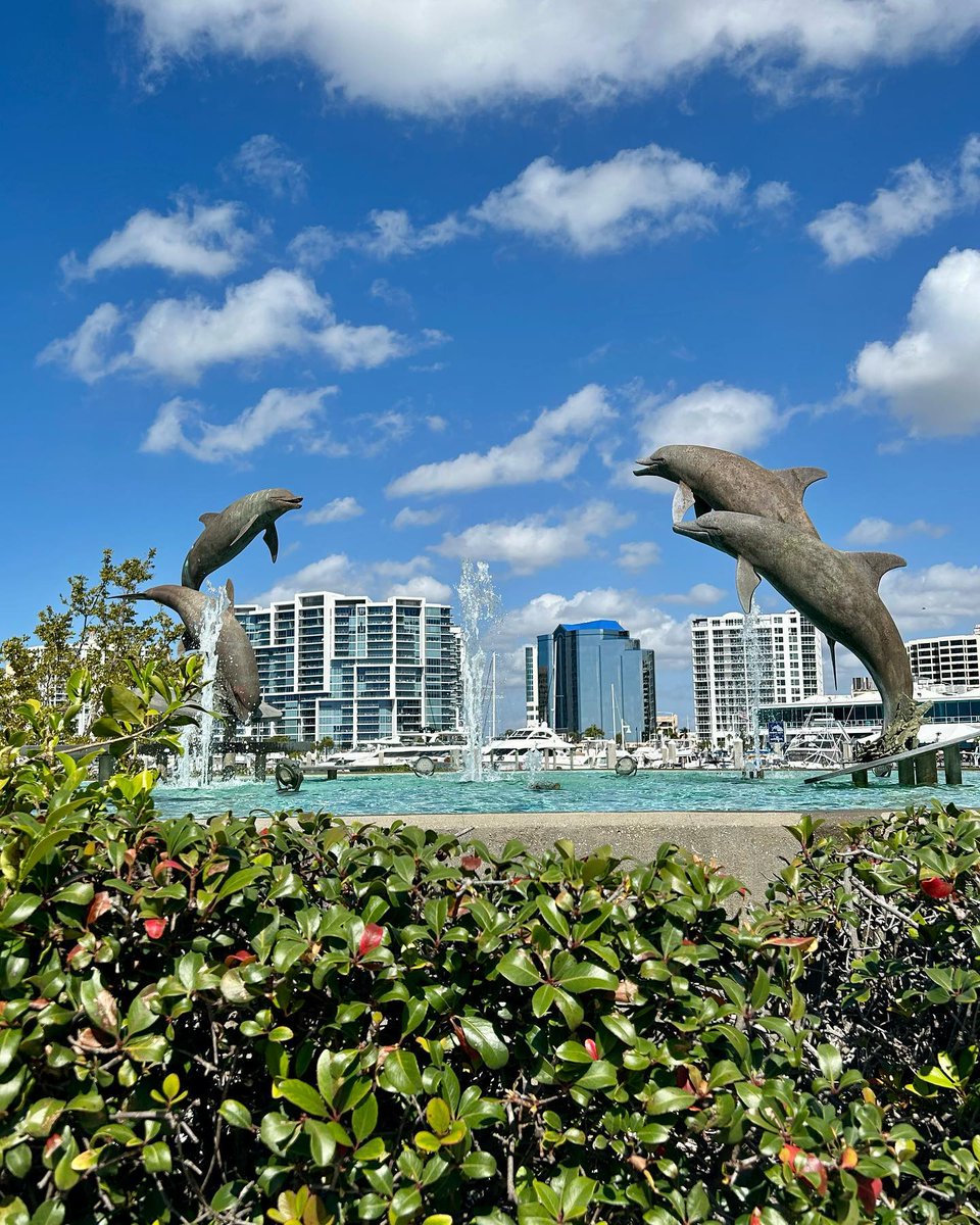 There are over 95 pieces of public art in #MySarasota. Do you know where this one is located? 🐬🐬🐬 #sarasotasculptures 📷 @elleteeter 📌 Hint: It's down by the marina