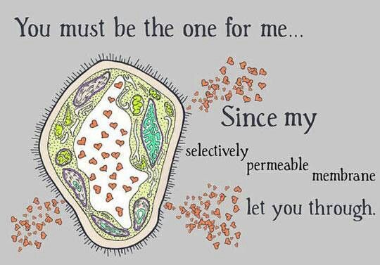 PLBioScience's tweet photo. Happy Valentine's Day & Alles Liebe zum Valentinstag from PL BioScience! 🧡
To all our friends, families, colleagues, and customers, we hope your that day is full of love and happiness!🌹
#valentinesday #PLBS #LoveAndScience https://t.co/3RGgPH0QNC