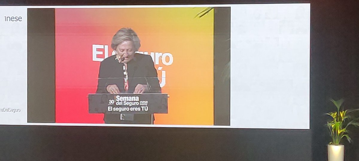 David Leonor tweet media