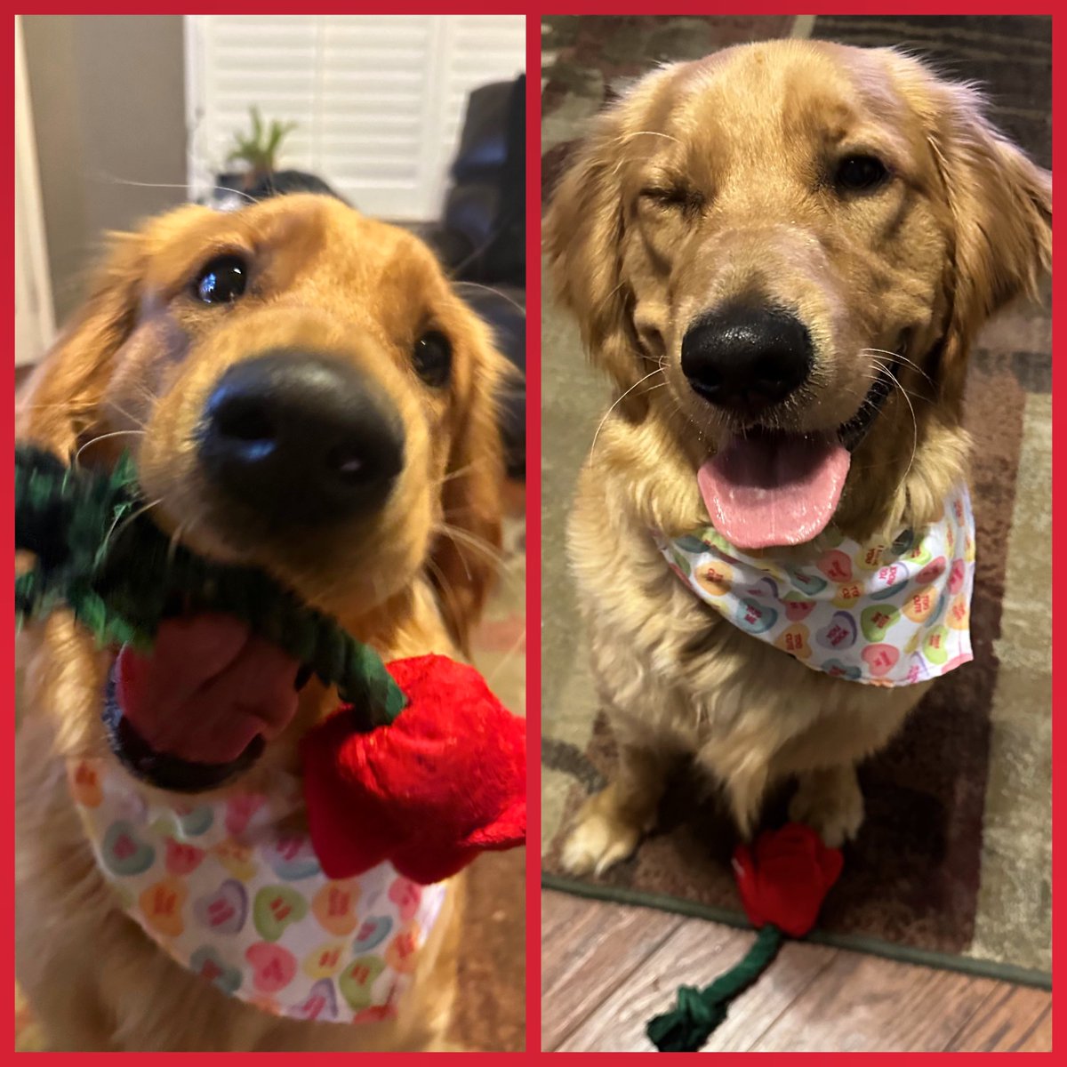 Will you be my Valentine? ❤️