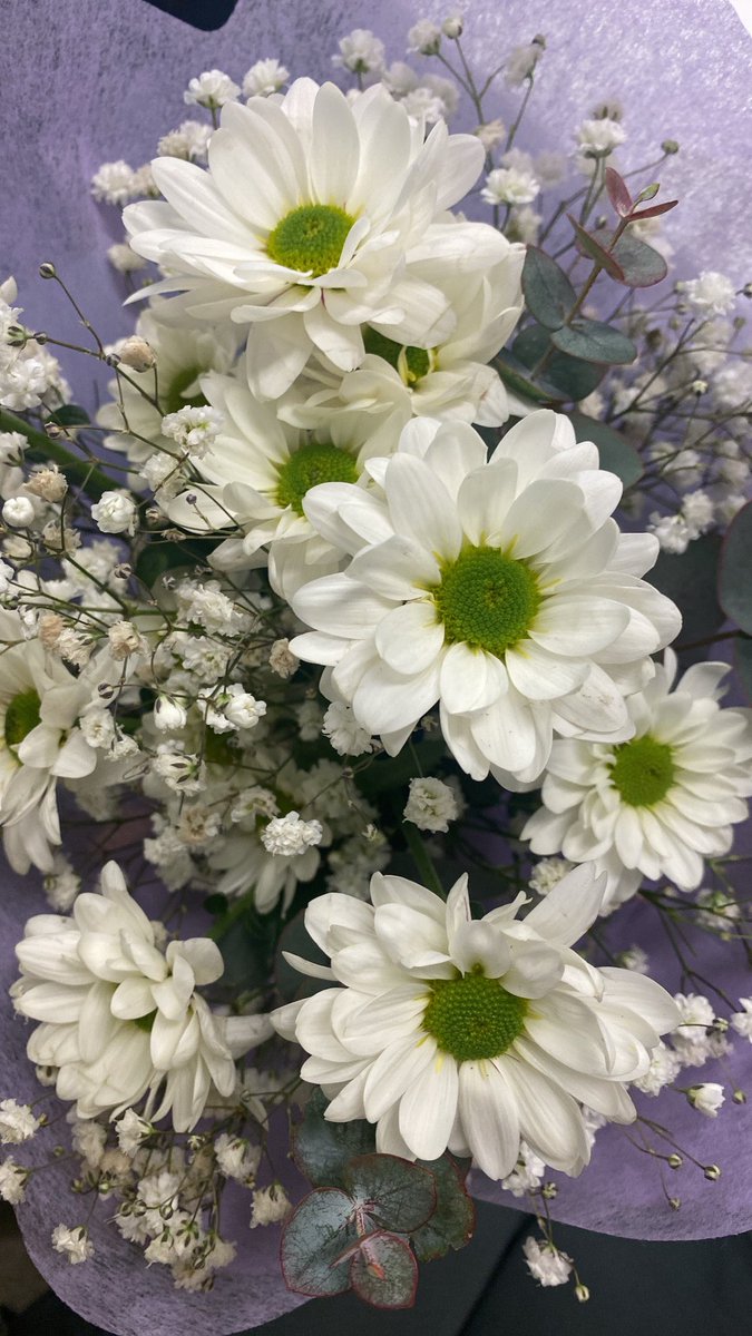 andreasahuq's tweet photo. me han regalado unas flores chulisimas 🥹 https://t.co/dYGyHa8fF8