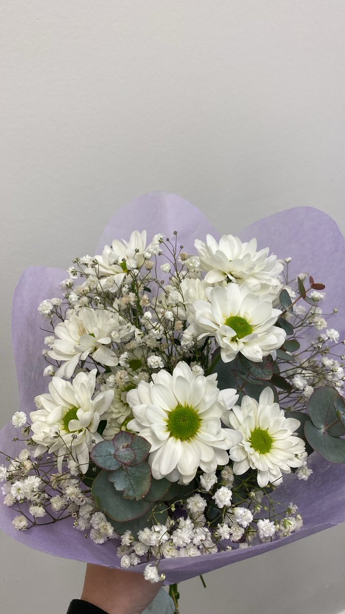 andreasahuq's tweet photo. me han regalado unas flores chulisimas 🥹 https://t.co/dYGyHa8fF8