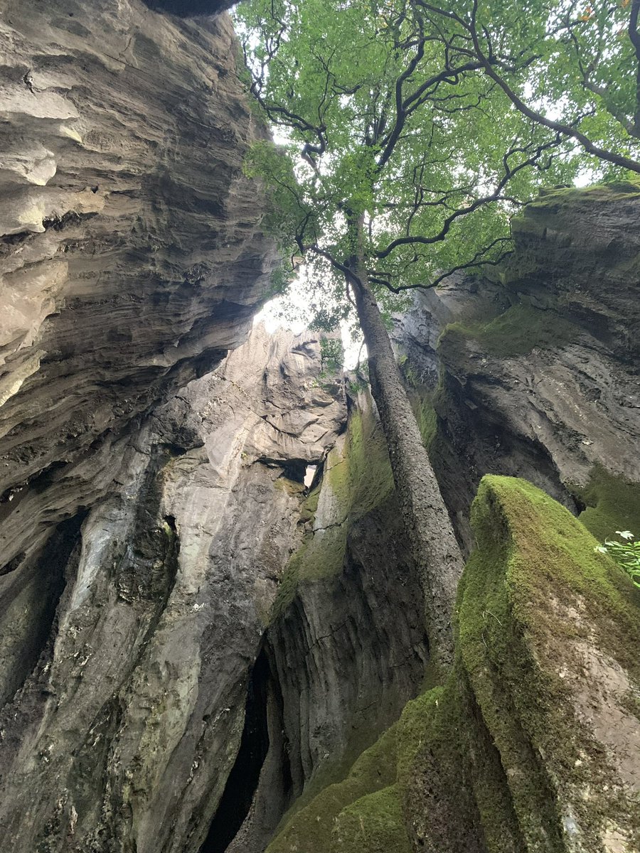 sanjaymsd3's tweet photo. @Bengaluru_Treks Shot something similar when i visited.. hopefully will join next trip soon @Bengaluru_Treks https://t.co/MeIOsx9ty8