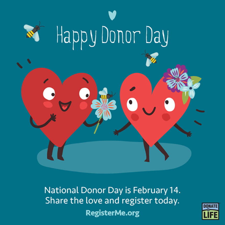 PaSenateDems's tweet photo. Today is National Organ Donor Day. 

Being an organ donor is the best gift you can give. 

Learn more and how to sign up 🔻
https://t.co/l9imBVrU5J https://t.co/X48wNIBIIX