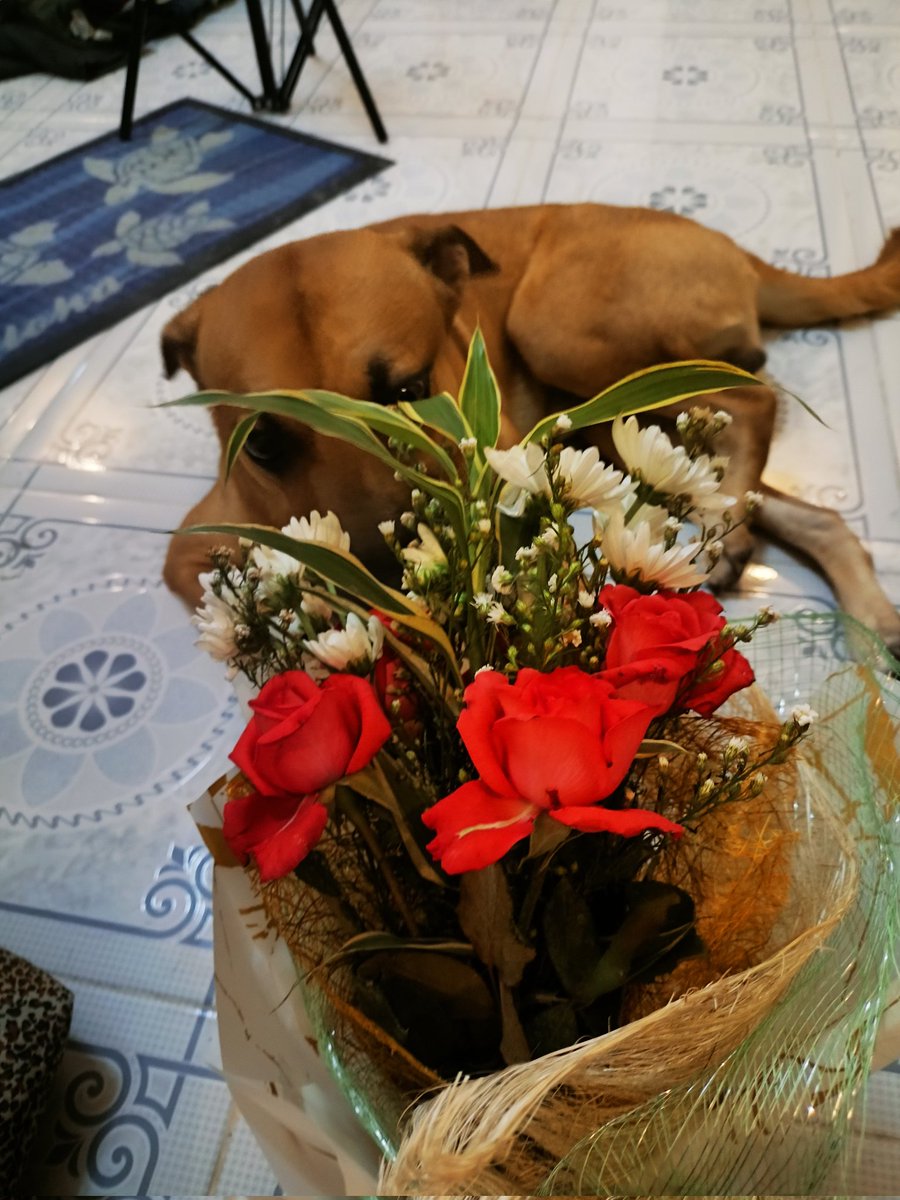 LabuguenViana's tweet photo. Happy Valentine's Day, My Bebe boy 😘😍🥰 https://t.co/xNf8HnfoLi