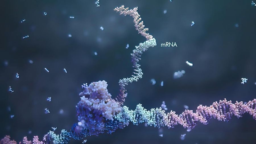TechieTonics's tweet photo. Exon Junction Complex controls mRNA: RNA Methylation

https://t.co/sy2cY5p2T7

#research #biotechnology #DNA #RNA #exonjunctioncomplex #mRNA #RNAmethylation #geneexpression #RNAsplicing https://t.co/xUbw3BbWFH