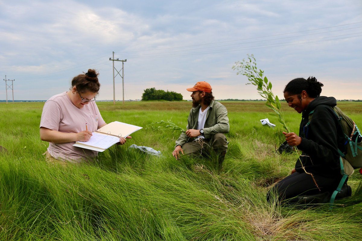 Are you a student looking for a summer internship opportunity? Nature Groupie is hiring three people who are enthusiastic and excited about nature and being outside! Applications are due February 24th. To learn more or apply visit naturegroupie.org/internships-st….