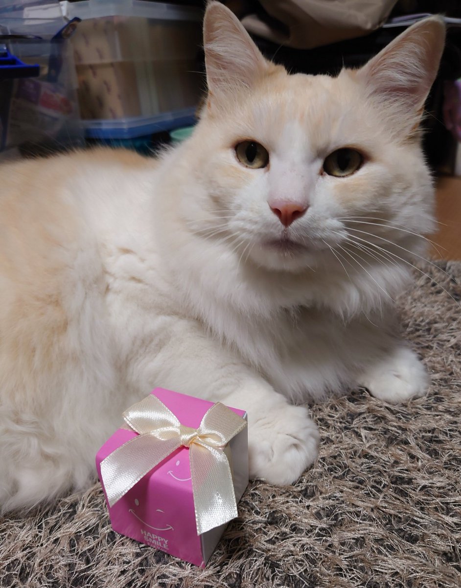 ハッピーバレンタイン(=^・^=)♡
