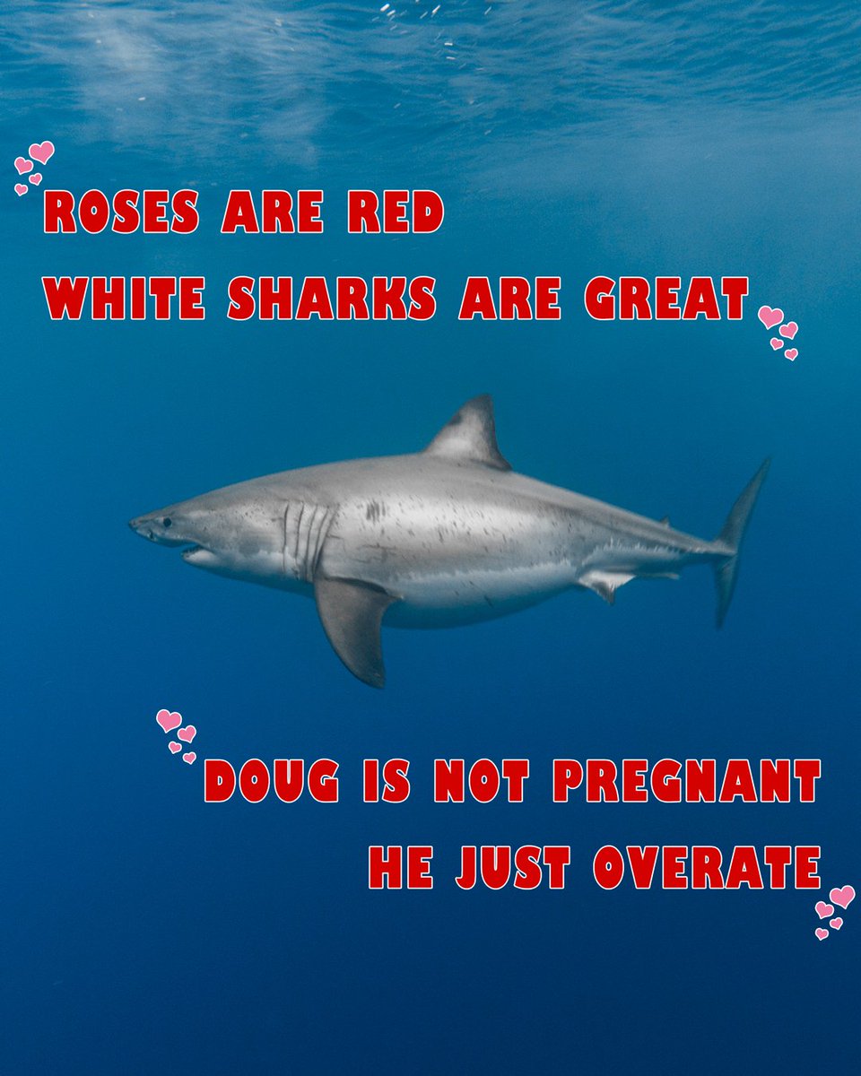 Happy Valentine's Day!
