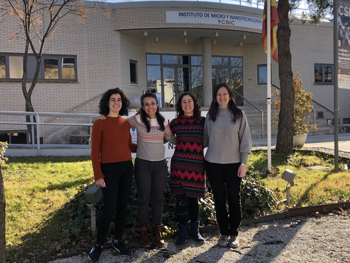 Our lab #11Feb  photo with few days delay ;)
<a href="/ImnCsic/">Instituto de Micro y Nanotecnología (IMN-CNM,CSIC)</a> <a href="/Es4Neu/">ES4TERM</a>