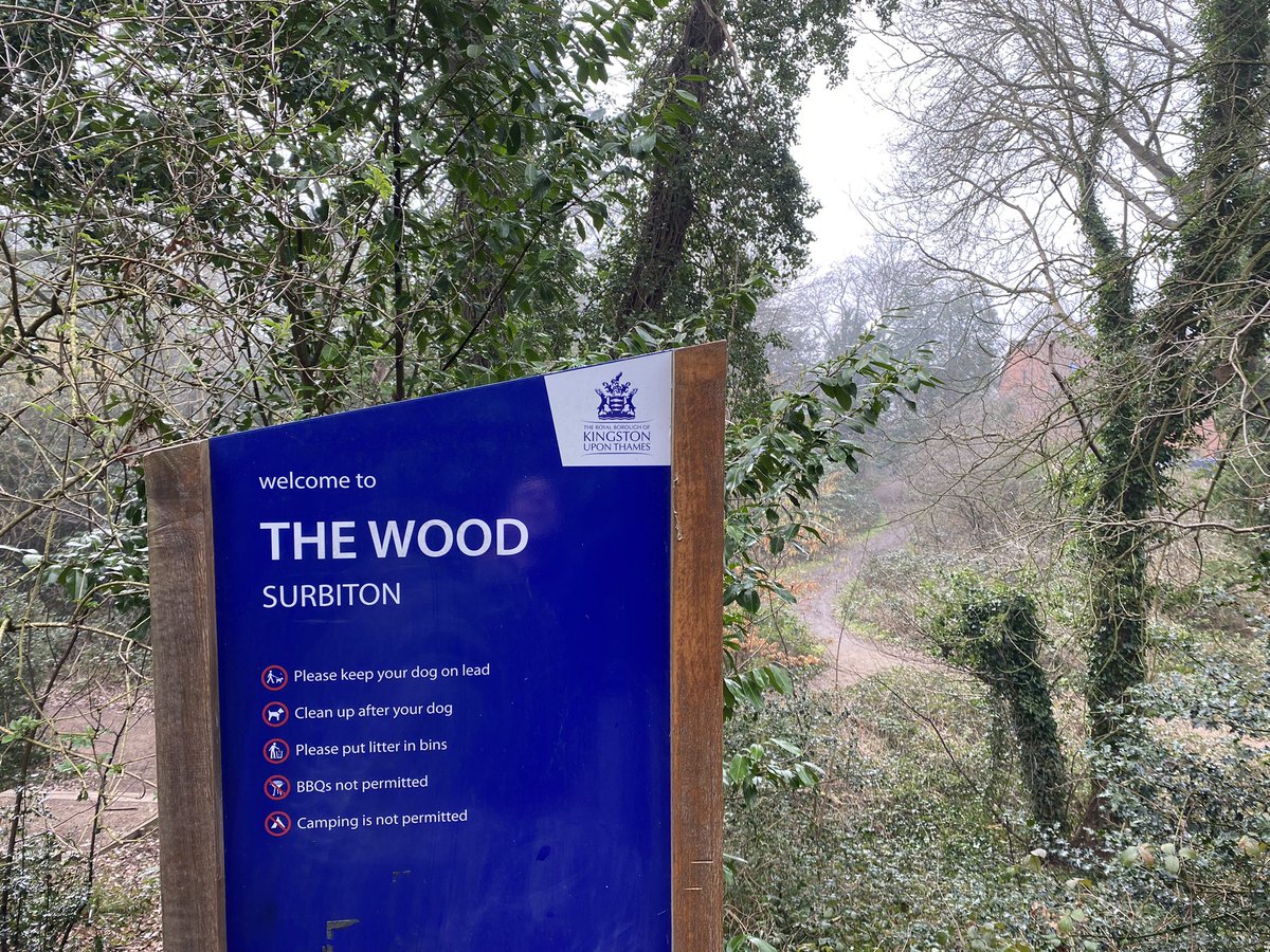 Surb_WL's tweet photo. Join us at our next woodland management session in ‘The Wood’, Surbiton. We will continue to tackle litter and invasive species including bamboo and cherry laurel. All welcome! Sunday 26th Feb, 10am - 1pm. @RBKingston https://t.co/WZZMaPWT2V