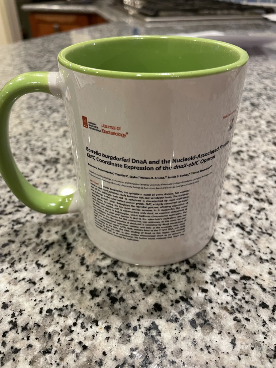 Brian Stevenson Spirochete Lab tweet media