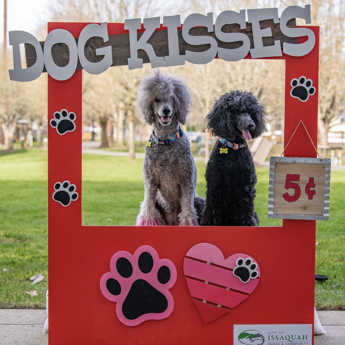 Happy Valentine’s Day! 💘

May your day be filled with lots of love and FREE DOG KISSES! 🐶

#getsili #valentinesday #cupid