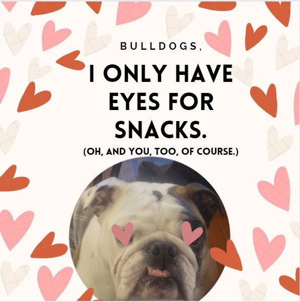 Relationships depend on honesty, right?

Happy Valentine's Day tonall my Bulldogs near and far. I love all y'alls. Especially if you've got treatos for me. 😘🐾