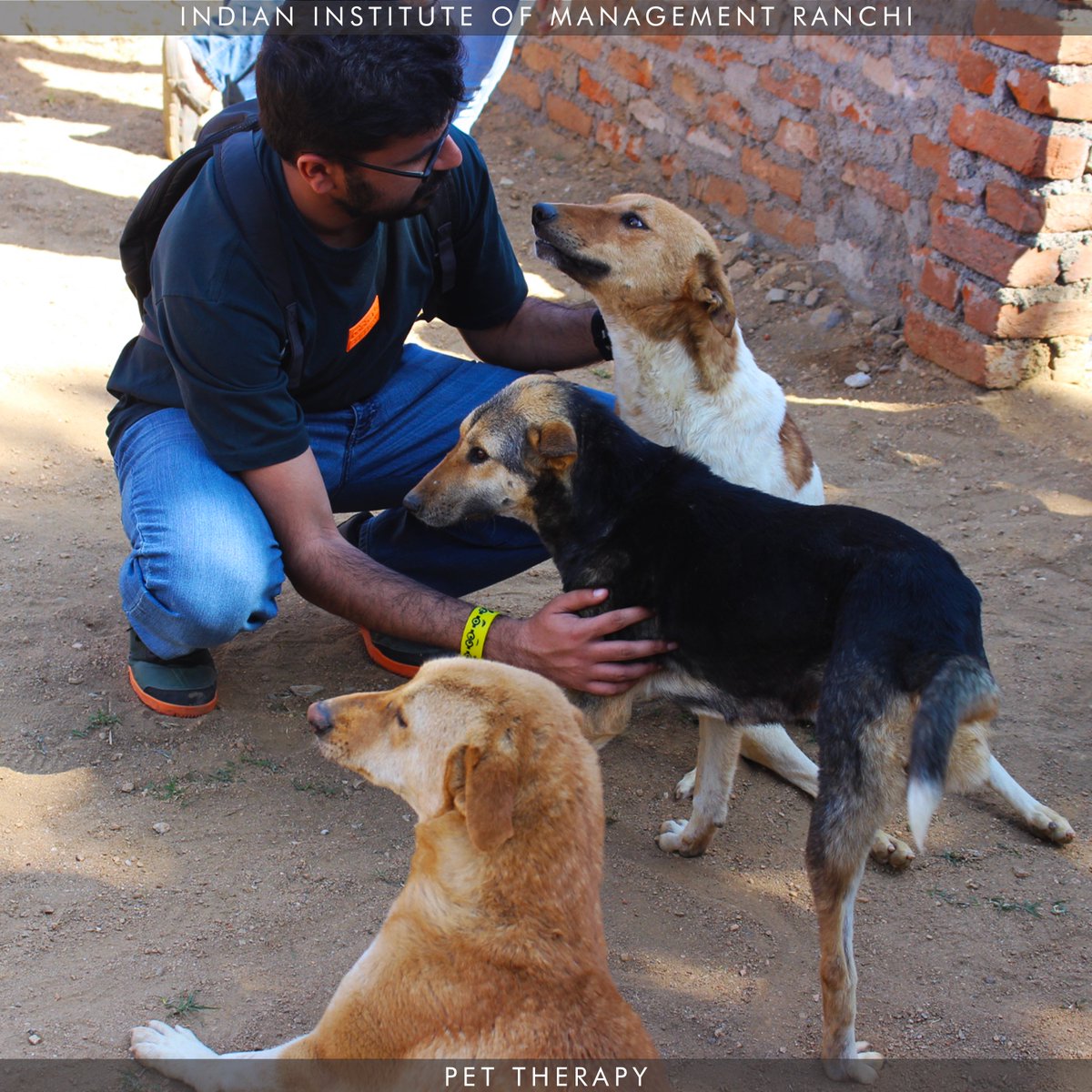 IIMRanchi_Off's tweet photo. Here's some pictures to look back on and remember those fond moments shared as a part of the 6th Episode of Human Connect - Pet Therapy.
#IIMR #IIMRanchi #13YearsOfExcellence #HumanConnect #PetTherapy #MentalHealth https://t.co/9l6ElYYfYq