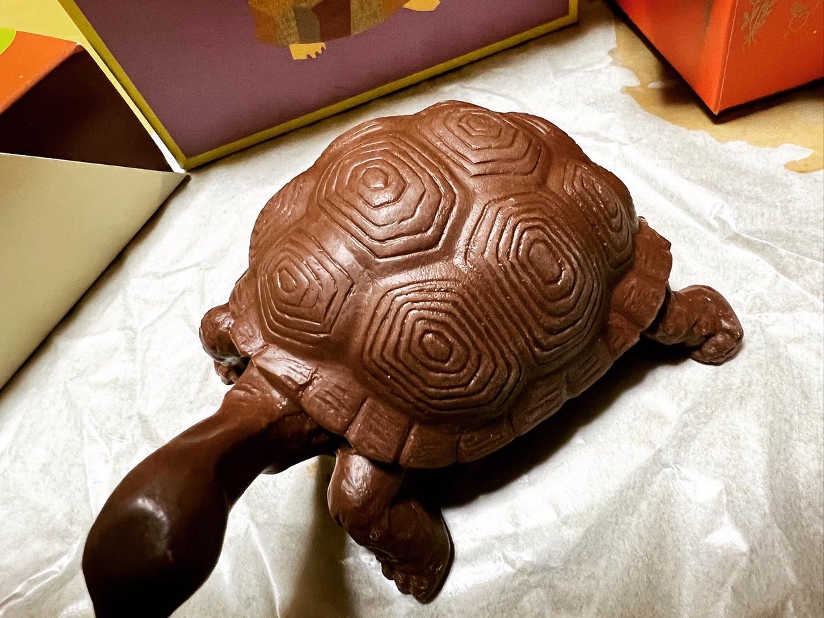 pinecone_olive's tweet photo. #HappyValentinesDay 
職場の女の子からチョコレート🐢をもらいました💕※義理チョコ
亀の理由は長生きしてほしいから！ってことでした笑
ありがとう😊 https://t.co/WYjHunnSkf