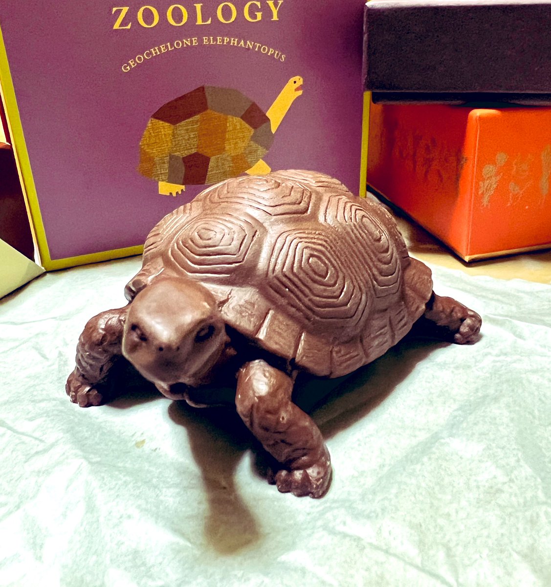 pinecone_olive's tweet photo. #HappyValentinesDay 
職場の女の子からチョコレート🐢をもらいました💕※義理チョコ
亀の理由は長生きしてほしいから！ってことでした笑
ありがとう😊 https://t.co/WYjHunnSkf