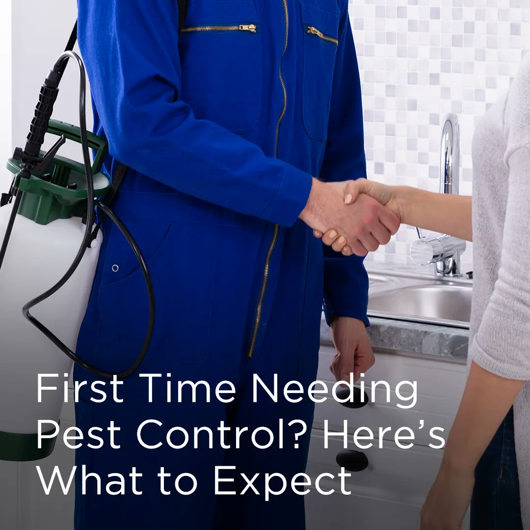 wearemmpc's tweet photo. New Blog Post Alert 🚨

Be sure to check out the latest article on our website (link in bio) titled, "First Time Needing Pest Control? Here's What to Expect? 

Leave your #pestcontrol comments down below. ⬇️

#wearemmpc #themoreyouknow #nyclandlords #pestcontrol https://t.co/QcOOlw7xGV