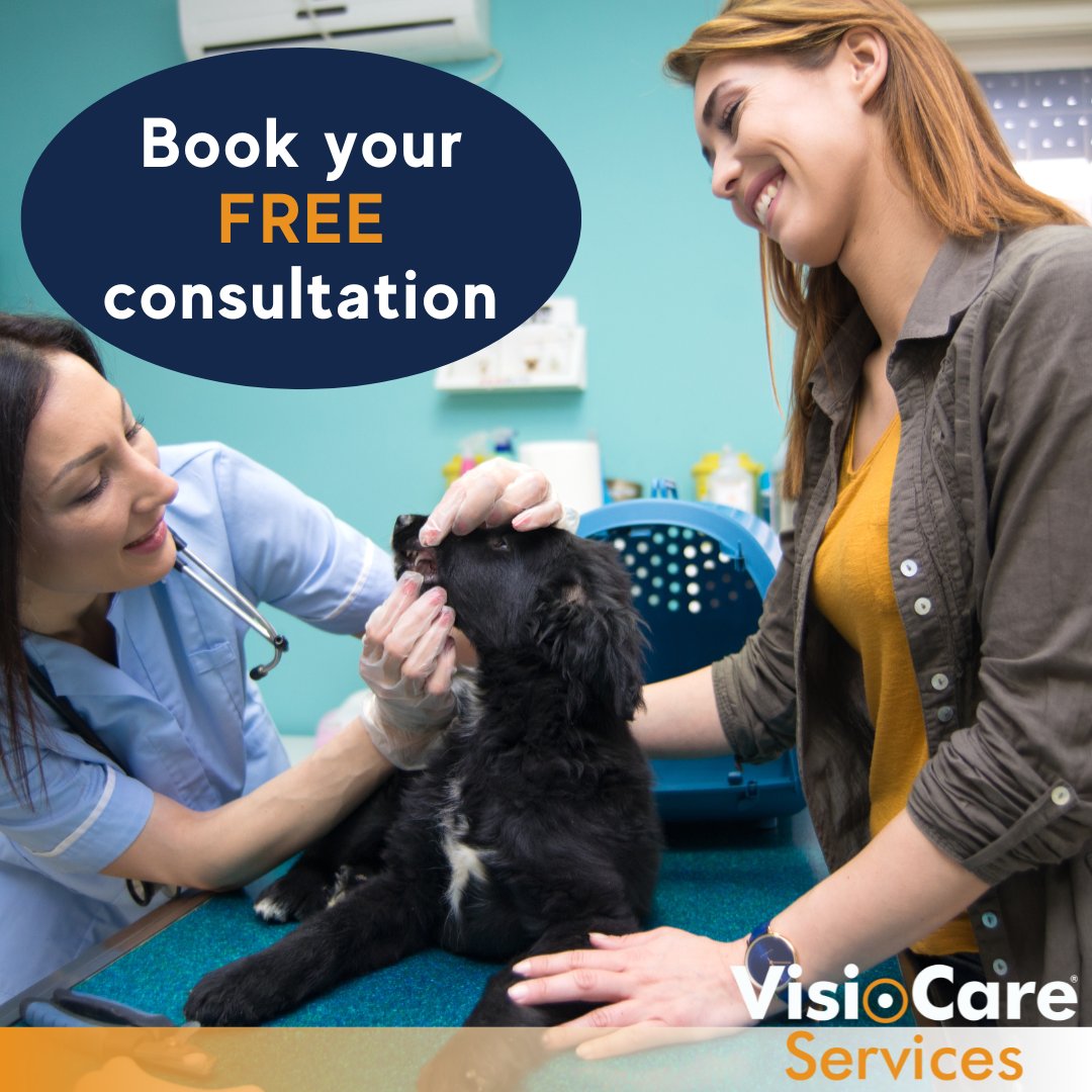 Are you interested in trialing Visiocare's services?

#Veterinary practices can book a FREE consultation and demo by filling out a short request form found on our website 🔗visiocareservices.co.uk/contact/
