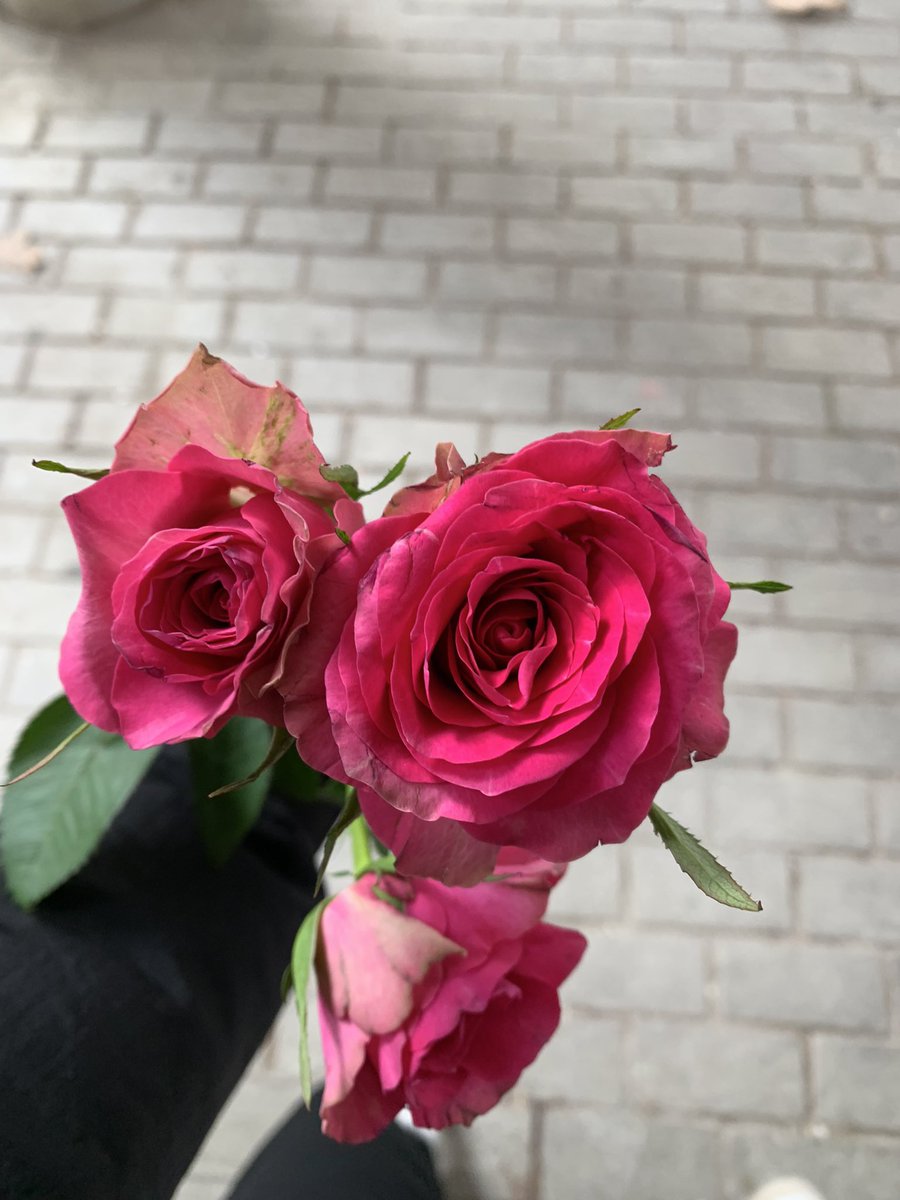 martaa_jaeen's tweet photo. <3 https://t.co/AcBITd5tYS