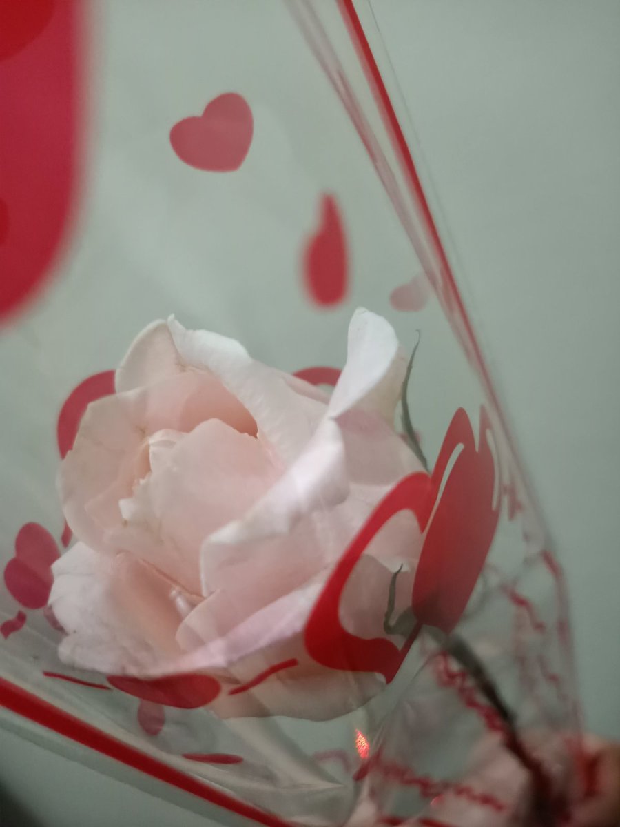 username2shorrt's tweet photo. Happy ❤️ day! I love you, Ga. https://t.co/cet1jc7FSv