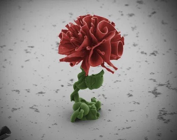 microscopicture's tweet image. electron microscope view of a hair-width nanocrystal grown by a saline solution absorbing carbon dioxide