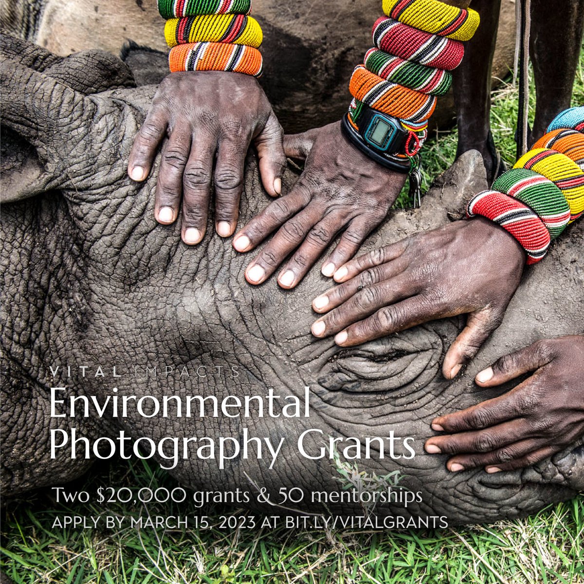 Grant applications available now! @VitalImpacts is offering 20k grants, &amp; 50 mentorships to support local environmental projects. Apply at vitalimpacts.org. Or follow this link- vitalimpacts.org/pages/the-vita…