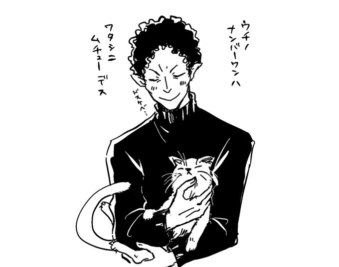 猫カフェー! 