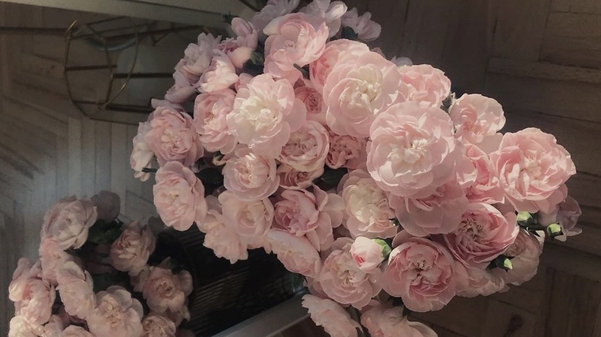 พีโอนี่ (น.)
หรือโบตั๋น ดอกไม้แห่งความโชคดีและความรักที่สมบูรณ์แบบ เป็นหนึ่งในดอกไม้ที่สวยที่สุด อีกความหมายคือ ”ผมตกหลุมรักคุณตั้งแต่เรายังไม่ได้พบหน้ากันมาก่อน” ก็คือความรักที่เกิดขึ้นแม้ไม่เคยเจอหน้ากัน ผ่านเสียง ตัวอักษรหรือรูปภาพนั่นเอง :-)