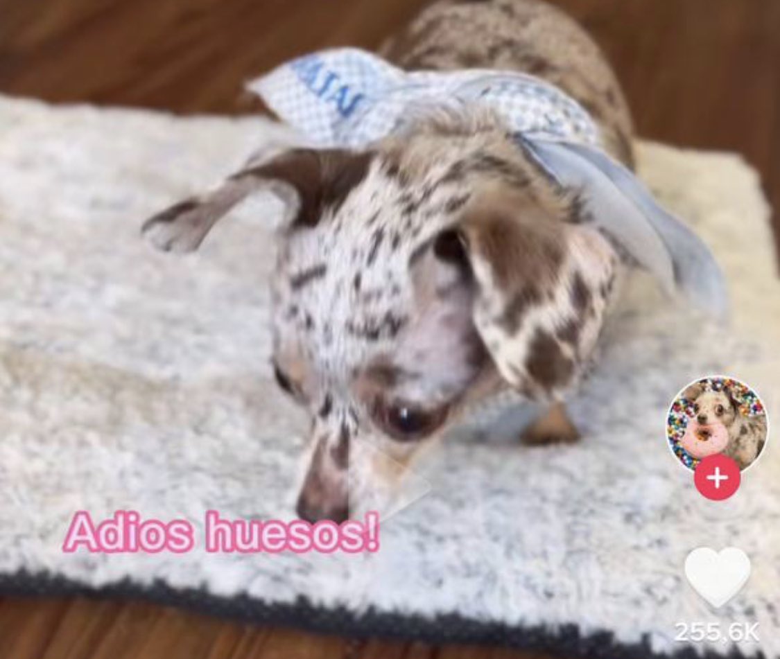 Я: смотрю тикток на испанском. 
Тикток на испанском: