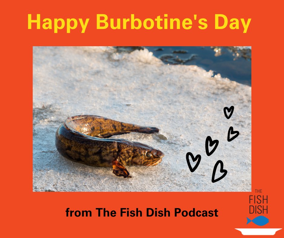 Listen to the latest! @DrFishSG, @MarieZhuikov, @sasefire and two #commercialfishing crew talk about burbot in a new episode of The Fish Dish podcast: seagrant.wisc.edu/audio/the-fish…