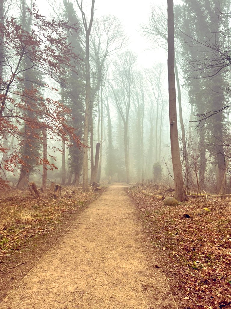 Diary of a Trans-Atlantic Lawyer tweet media