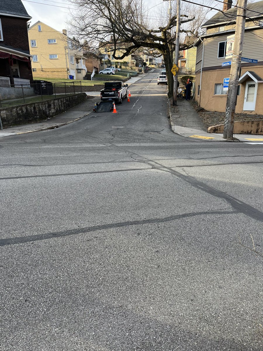 JesseRayy's tweet photo. @Pgh311 Two of these trees on Kaercher St have already uprooted during windstorms. Grinding out the roots to smooth out the sidewalk seems ill advised. (Kaercher St, at Greenfield) https://t.co/AULishQCTT