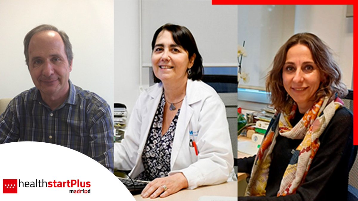 madrimasd's tweet photo. Hablamos con Isabel del Cura, Milagros Rico y Tomás Gómez, investigadores de la @RICAPPS_Red, sobre su proyecto “Optimización de servicios de atención primaria y urgencias en población más vulnerable”, enmarcado en el programa #healthstartPlus
✍️📹https://t.co/ysWAVQK3Ca https://t.co/2WE1aZExn9