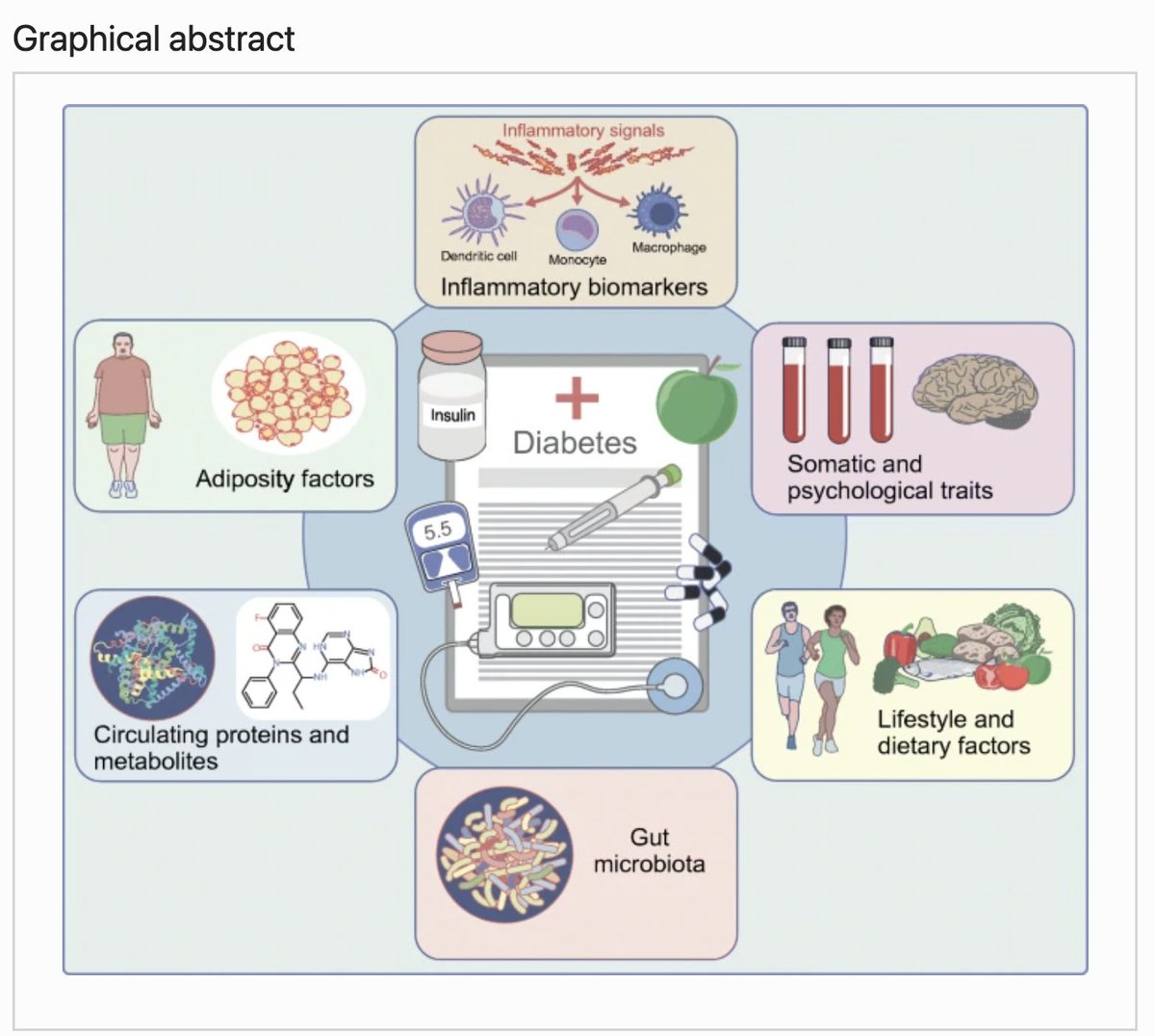 Shuai Yuan 袁帅 (@yuan_as) on Twitter photo A review of recent Mendelian randomisation analysis on diabetes, type 1 and type 2, published in <a href="/DiabetologiaJnl/">Diabetologia</a>
The paper describes future directions, challenges, and opportunities in this field.
Many thanks for the great inputs from <a href="/Riudecanyenc/">Jordi Merino</a> and <a href="/LarssonSC/">Susanna Larsson</a> A review of recent Mendelian randomisation analysis on diabetes, type 1 and type 2, published in <a href="/DiabetologiaJnl/">Diabetologia</a>
The paper describes future directions, challenges, and opportunities in this field.
Many thanks for the great inputs from <a href="/Riudecanyenc/">Jordi Merino</a> and <a href="/LarssonSC/">Susanna Larsson</a>